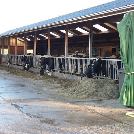 Boerderij "De Verwondering" Goudriaan Bagian luar foto