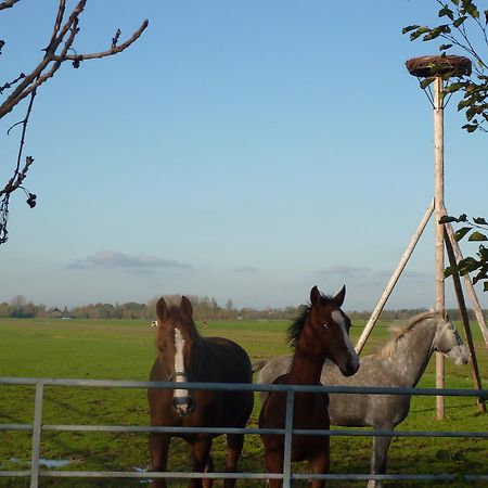 Boerderij "De Verwondering" Goudriaan Bagian luar foto