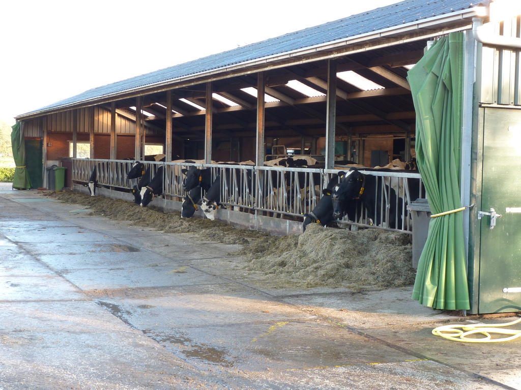 Boerderij "De Verwondering" Goudriaan Bagian luar foto