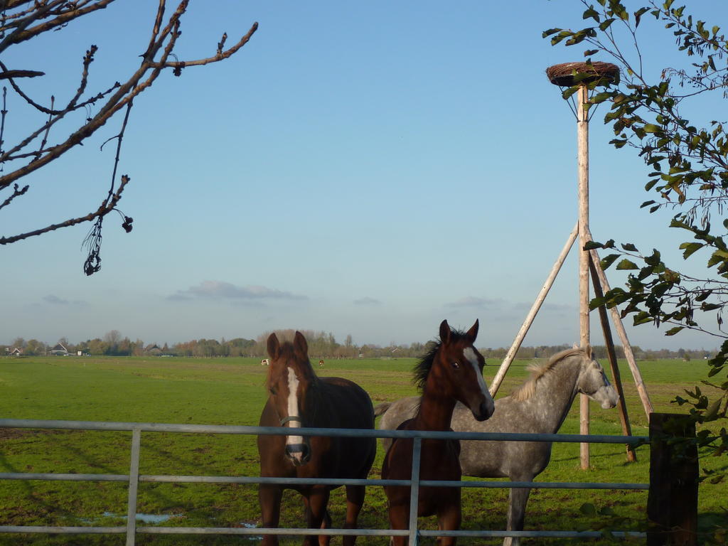 Boerderij "De Verwondering" Goudriaan Bagian luar foto