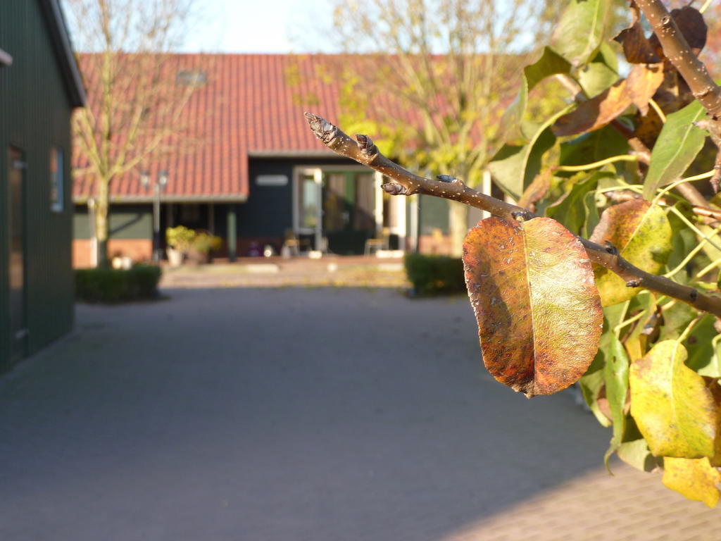 Boerderij "De Verwondering" Goudriaan Bagian luar foto