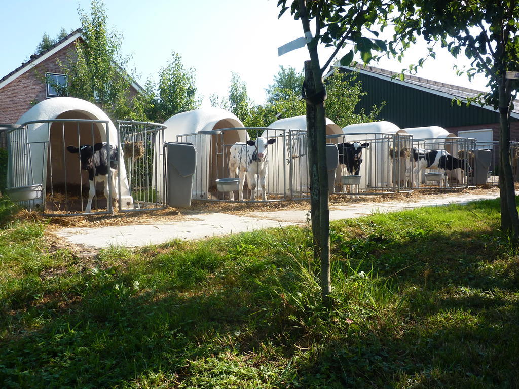 Boerderij "De Verwondering" Goudriaan Bagian luar foto