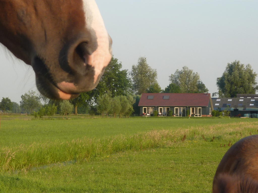 Boerderij "De Verwondering" Goudriaan Bagian luar foto